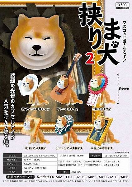 2019夾住犬2.jpg