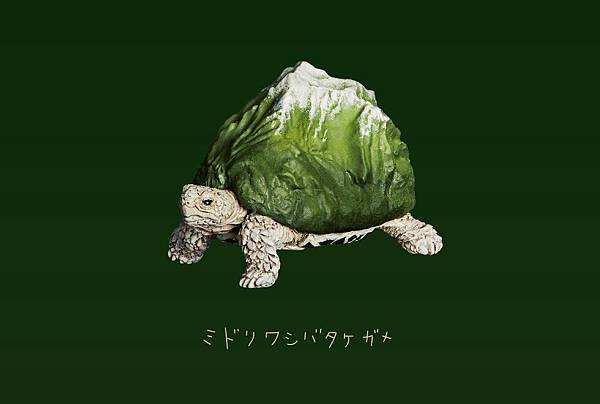 2019熊貓之穴 Mountain Turtles山脈之龜d.jpg