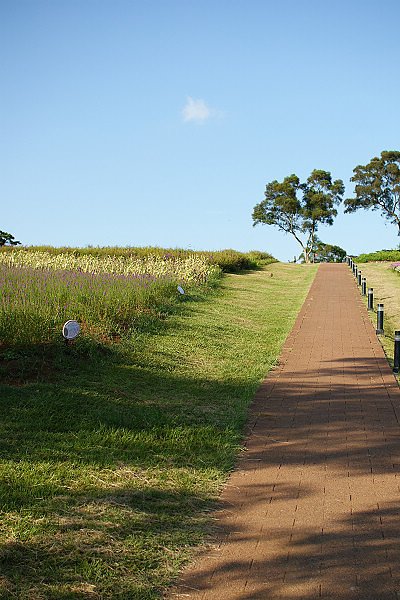 DSC09011.jpg