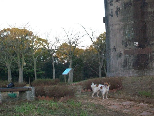 叮叮在都會公園碉堡