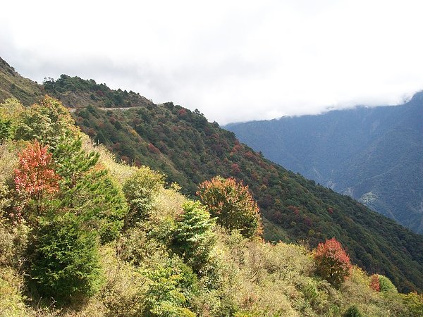 鳶峰的秋冬風景