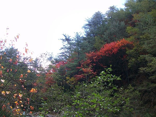 路途中美風景