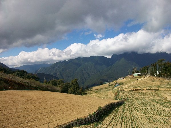 田園風光