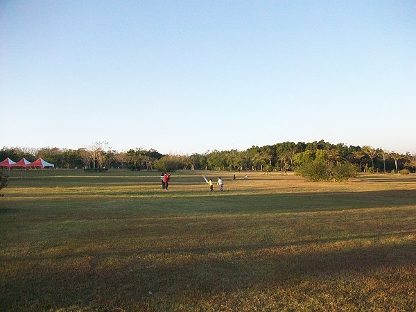 都會公園草地冬景