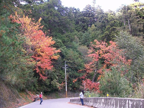 路途中美風景