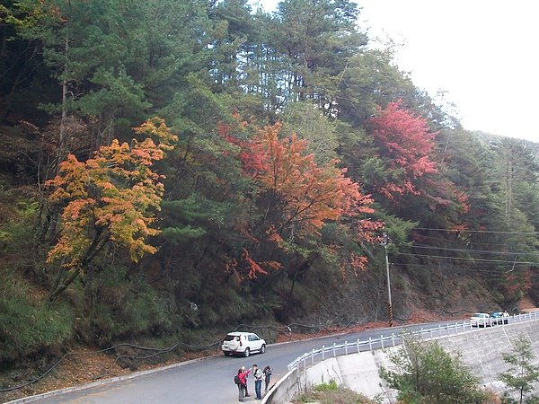 路途中美風景