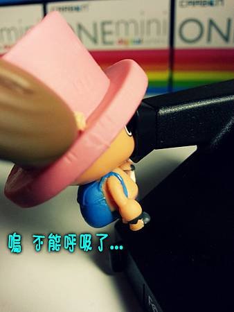 觀景窗