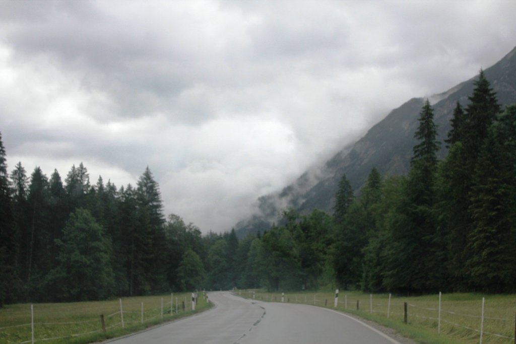 IMG_5301.JPG