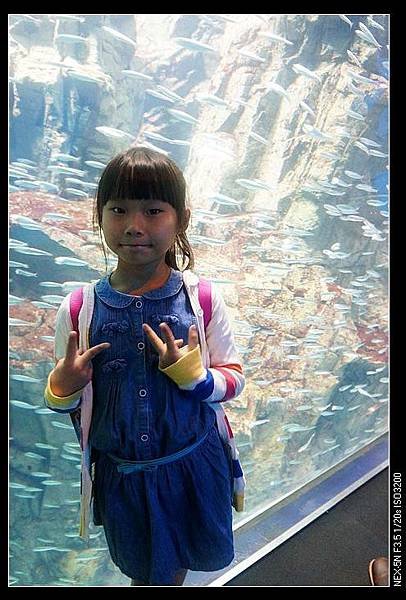 2015.09 osaka (26).jpg