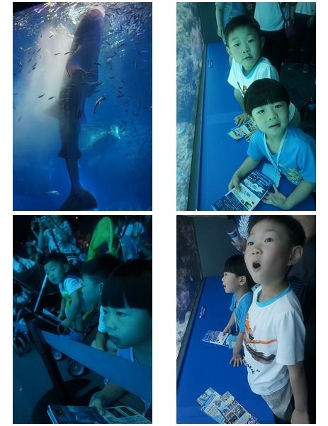 水族館1.jpg