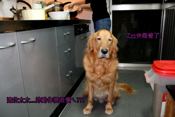 雞肉南瓜泥30.jpg