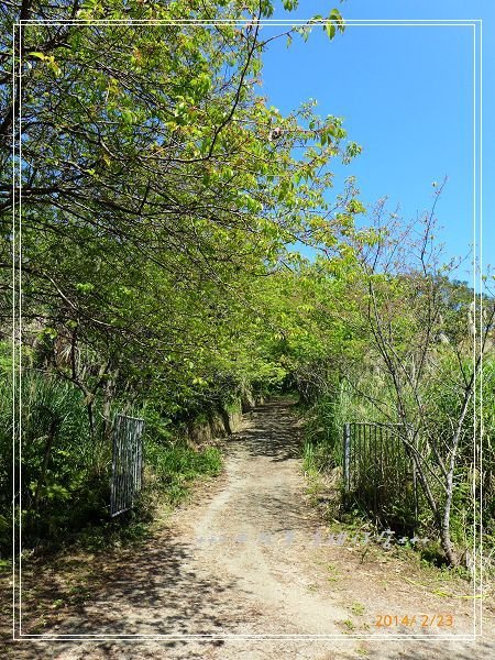 大山背大崎棟步道