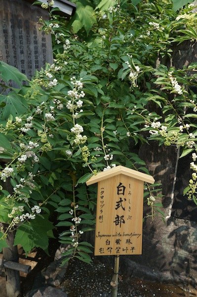 DSC09865.JPG