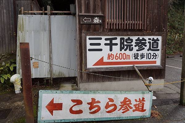 DSC08078.JPG