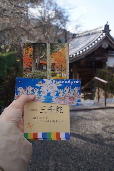 DSC08109.JPG
