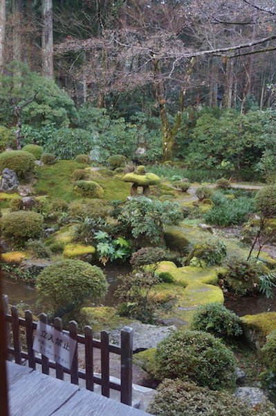 DSC08111.JPG