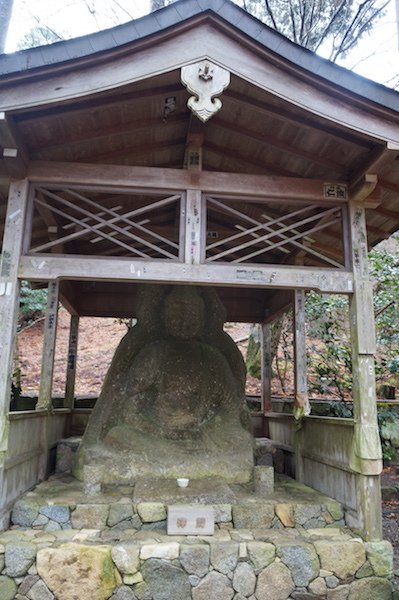 DSC08155.JPG