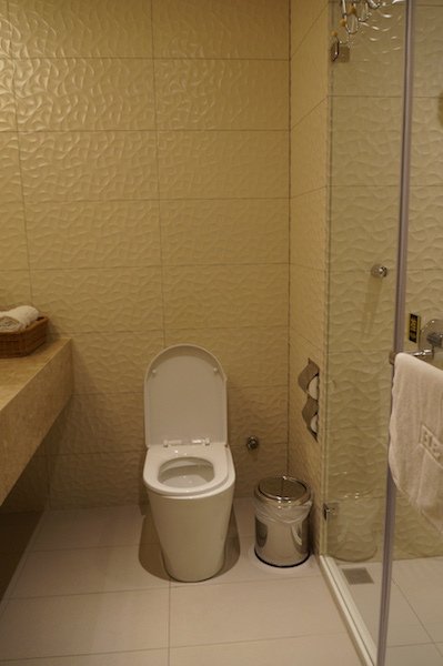 DSC08807.JPG