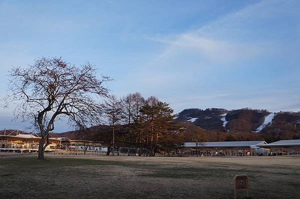 DSC01285.JPG