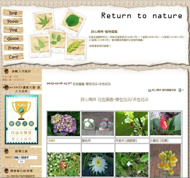 花色圖鑑-多色.jpg - 花色圖鑑