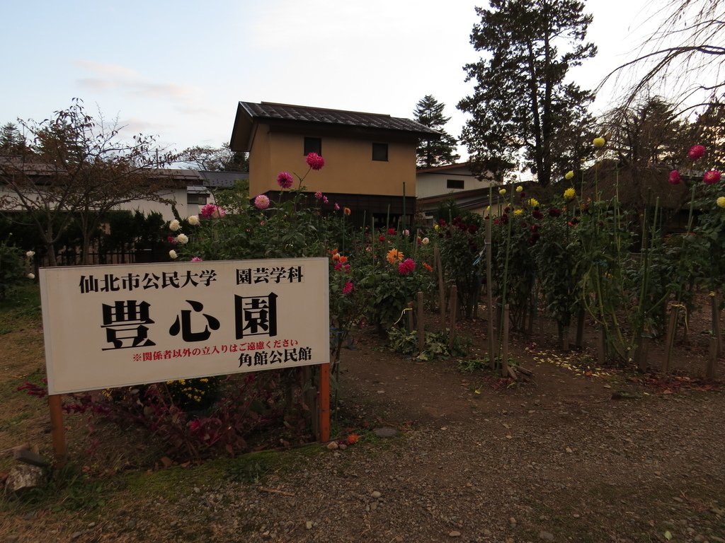 日本東北賞楓泡湯遊 Day5-角館豐心園的大理花:IMG_5112豐心園.JPG