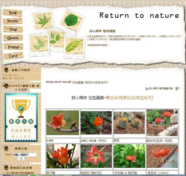 花色圖鑑-橙.jpg - 花色圖鑑