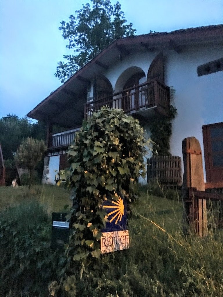D1_0006.JPG