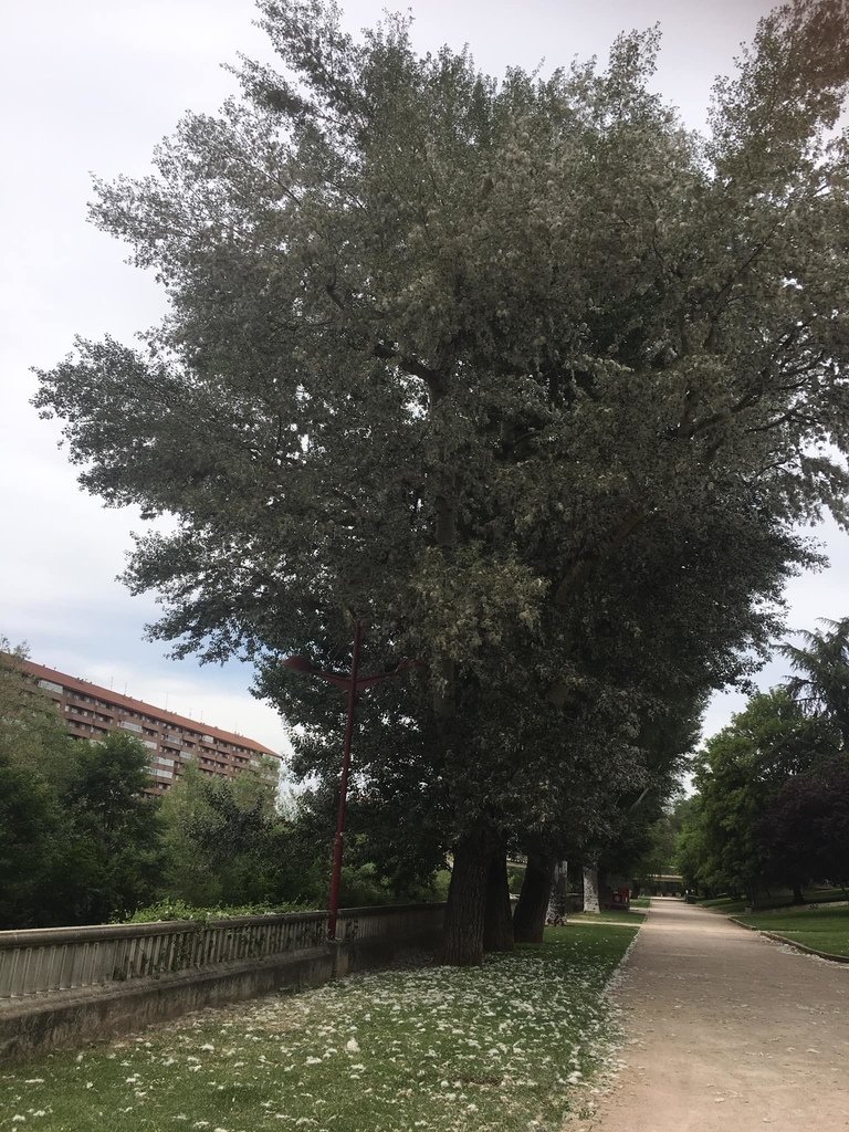 L_060.jpg