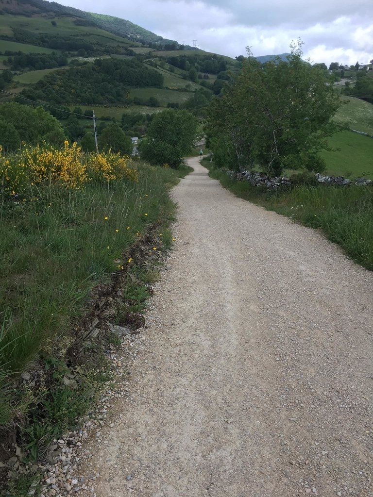 D30_0062.jpg