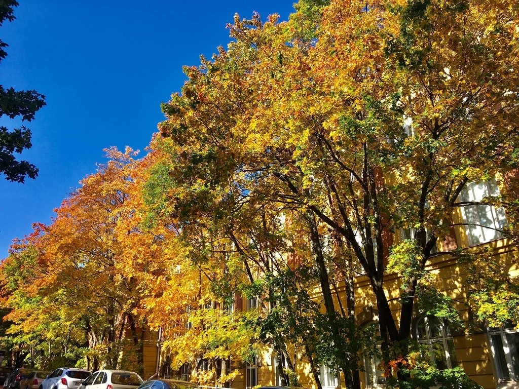 芬蘭·坦佩雷 Tampere | 由急流到湖泊到紅磚建築林立