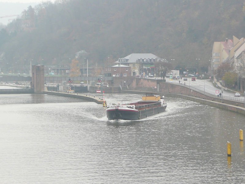 P1110375.jpg