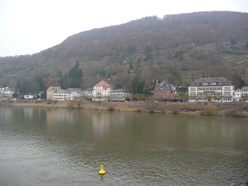 P1110370.jpg