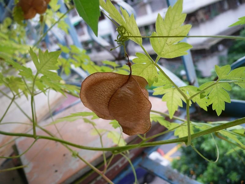 P1570627.jpg