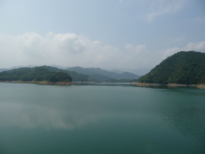 P1010801.jpg