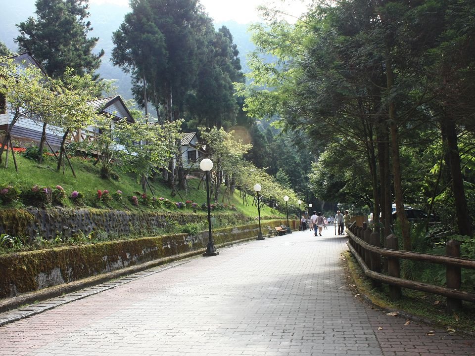 IMG_9537.jpg