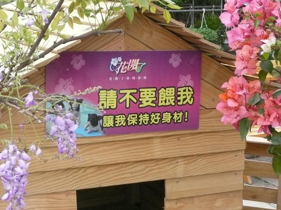 P1680318.jpg