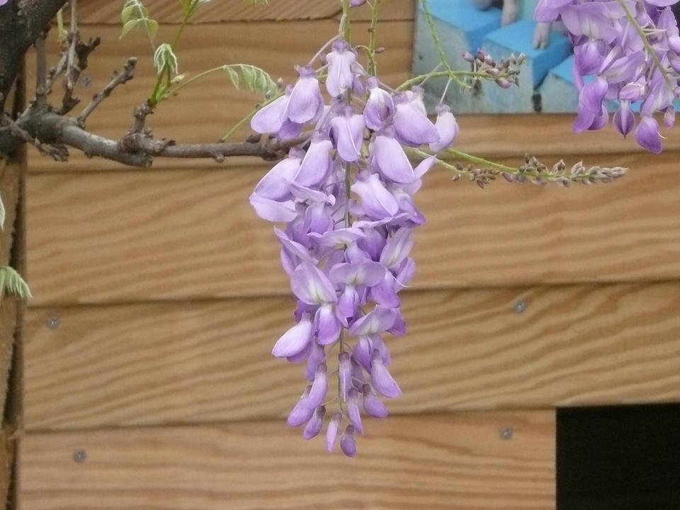 P1680321.jpg