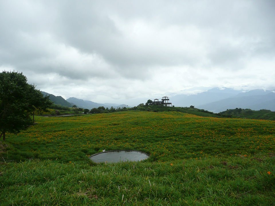 P1780183.jpg