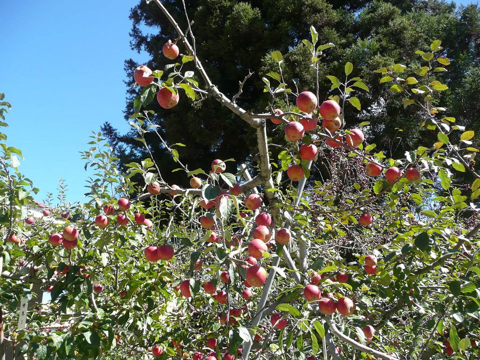 P1870702A.jpg