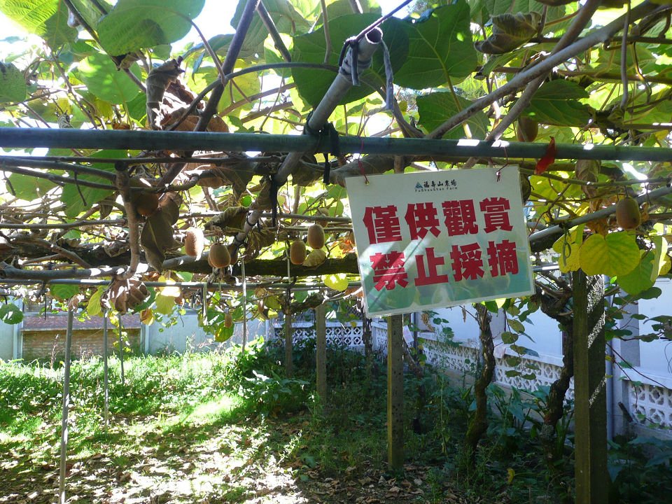 P1870721A.jpg