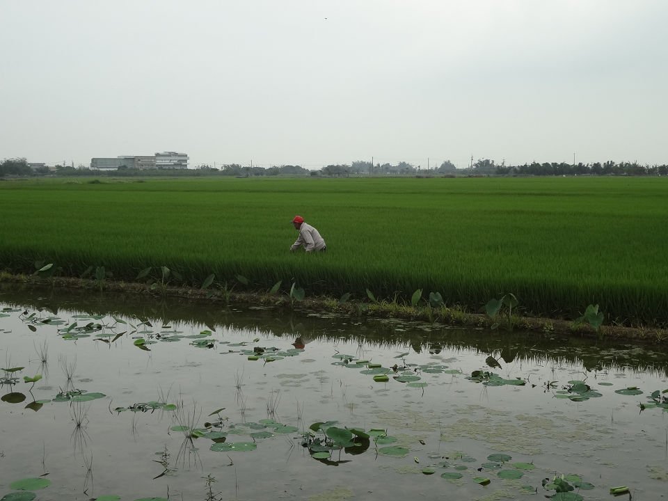 DSC04045a.jpg