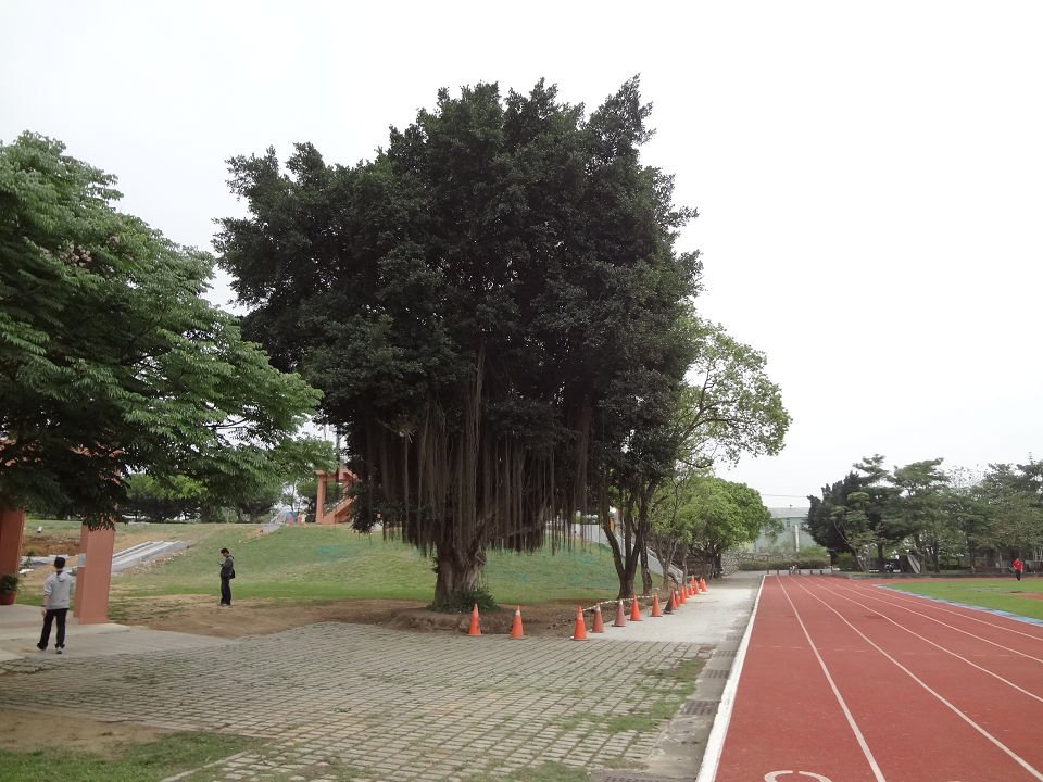 DSC04122a.jpg