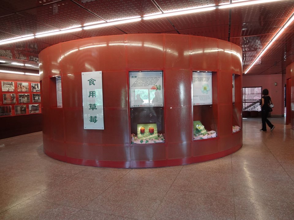 DSC00080a.jpg
