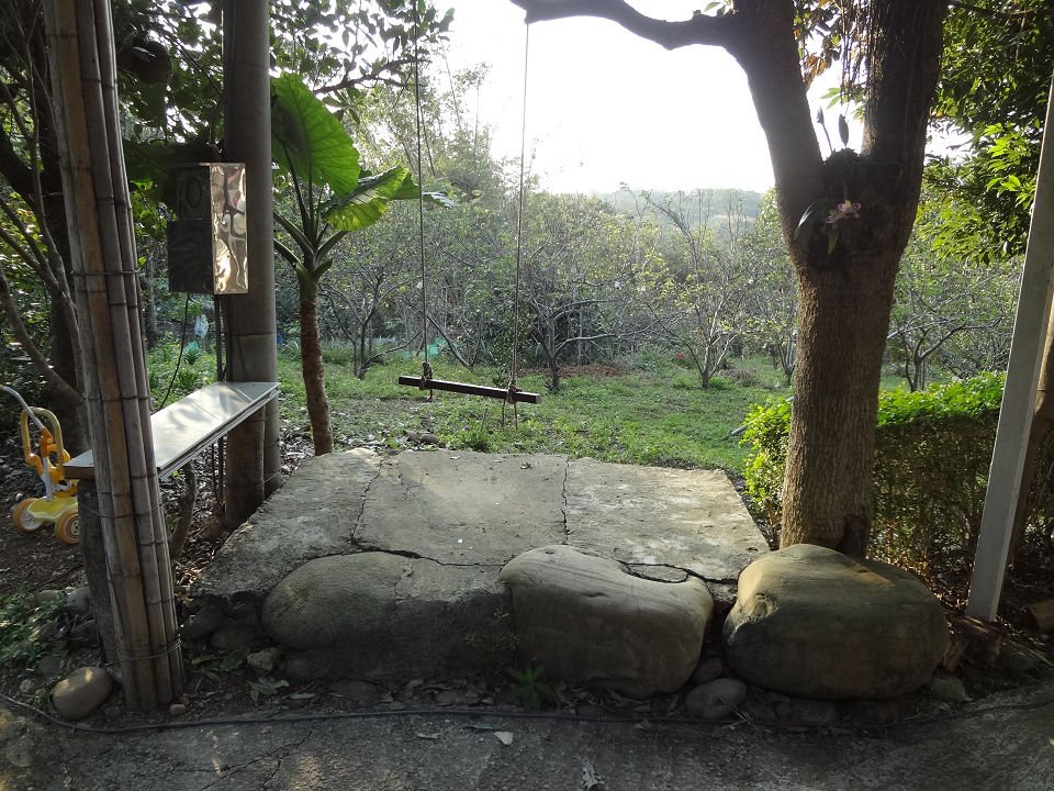 DSC03533a.jpg
