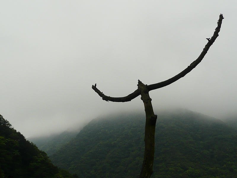 P1430344.jpg