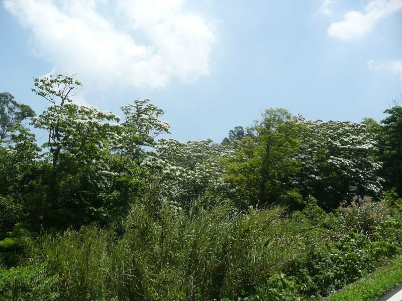 P1560498.jpg