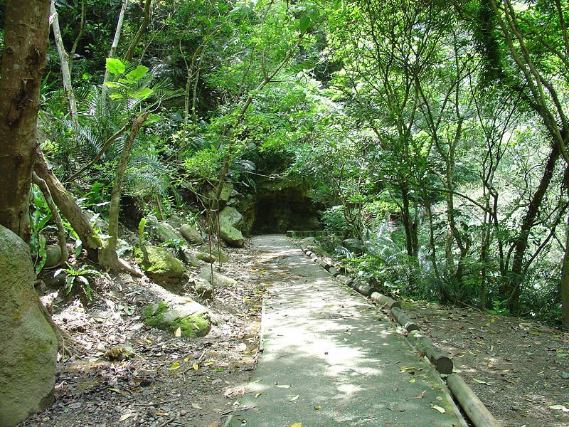 DSC022861.jpg