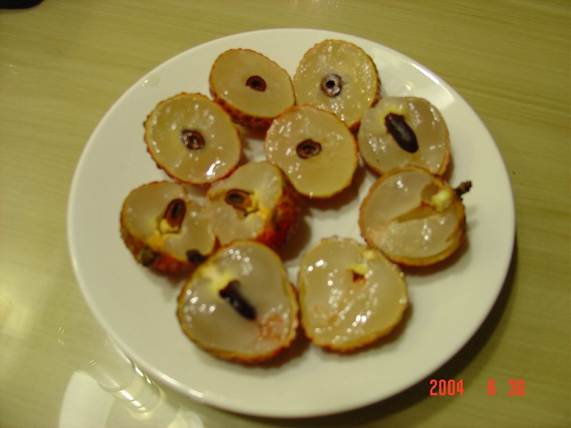 DSC01919.jpg