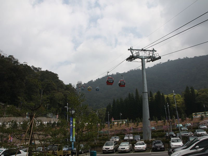 IMG_7515.jpg