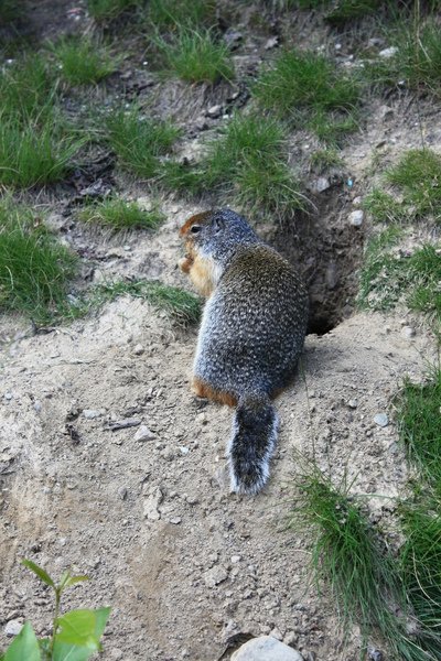 IMG_2674.JPG